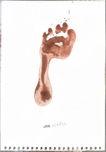footprint, mini-festival PLAT